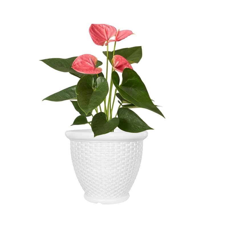 12 Inch Arya Round Planter  Uv Resistant, Lightweight Indoor/outdoor Pot (white)