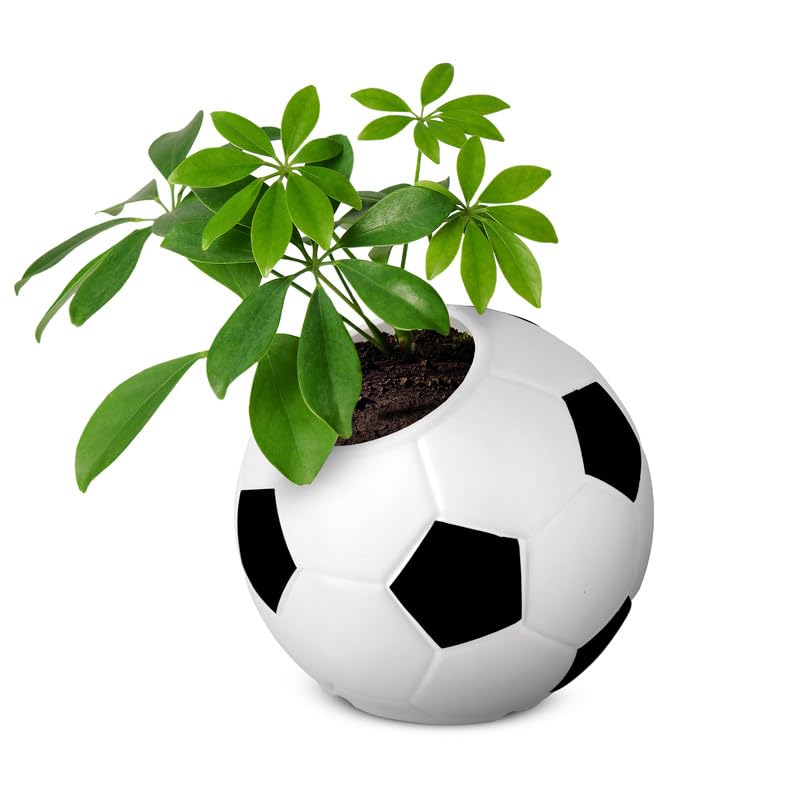 7.8 Inch Football Round Planter  Uv Resistant, Lightweight White Pot (indoor/outdoor)