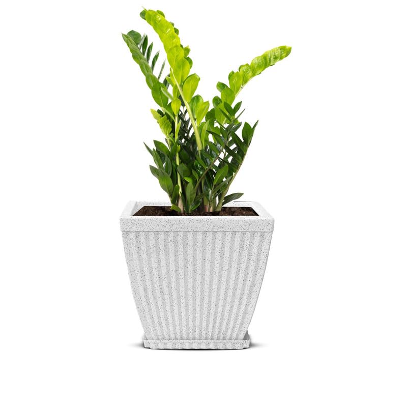 10 Inch Paris Square Planter  Uv Resistant, Lightweight White Marble Pot