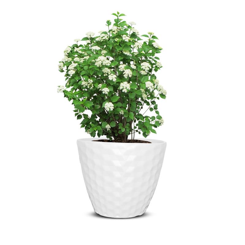 10.5 Inch Spider Round Planter  Uv Resistant, Lightweight White Pot