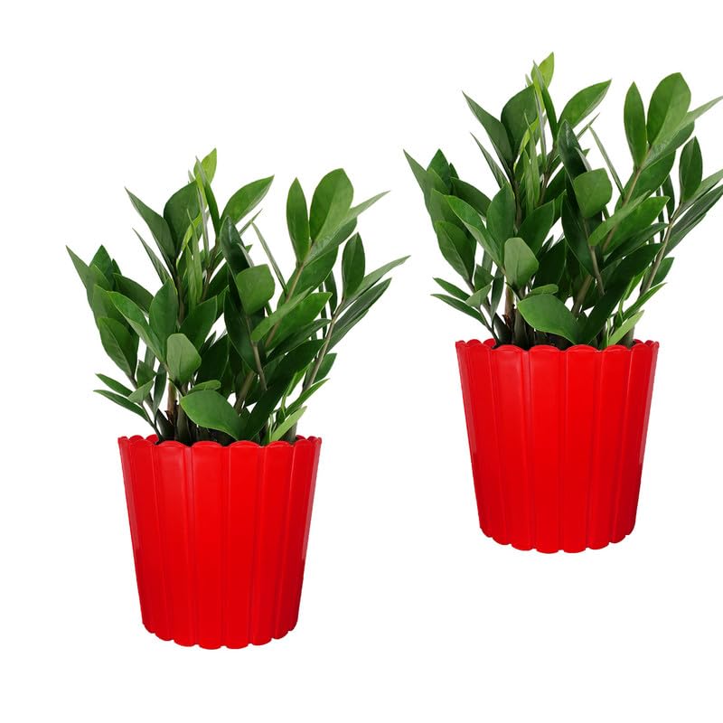 10 Inch Red Thai Planters Lightweight & Uv Resistant (set Of 2)