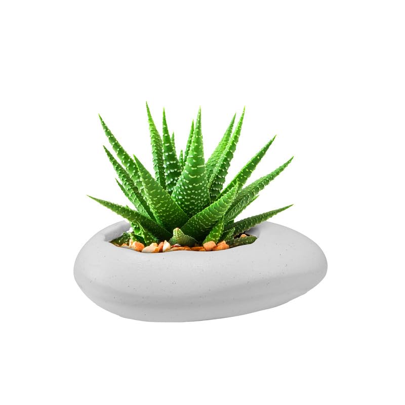 12 Inch Pabble Stone Planter  Uv Resistant, Lightweight White Pot (indoor/outdoor)