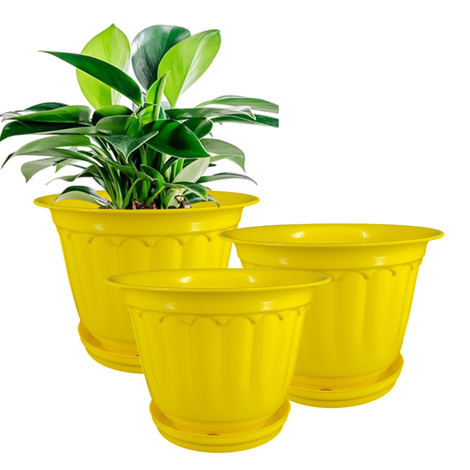 10 Inch Yellow Jasmine Planters With Drip Tray Home & Garden DÃ©cor (set Of 3)