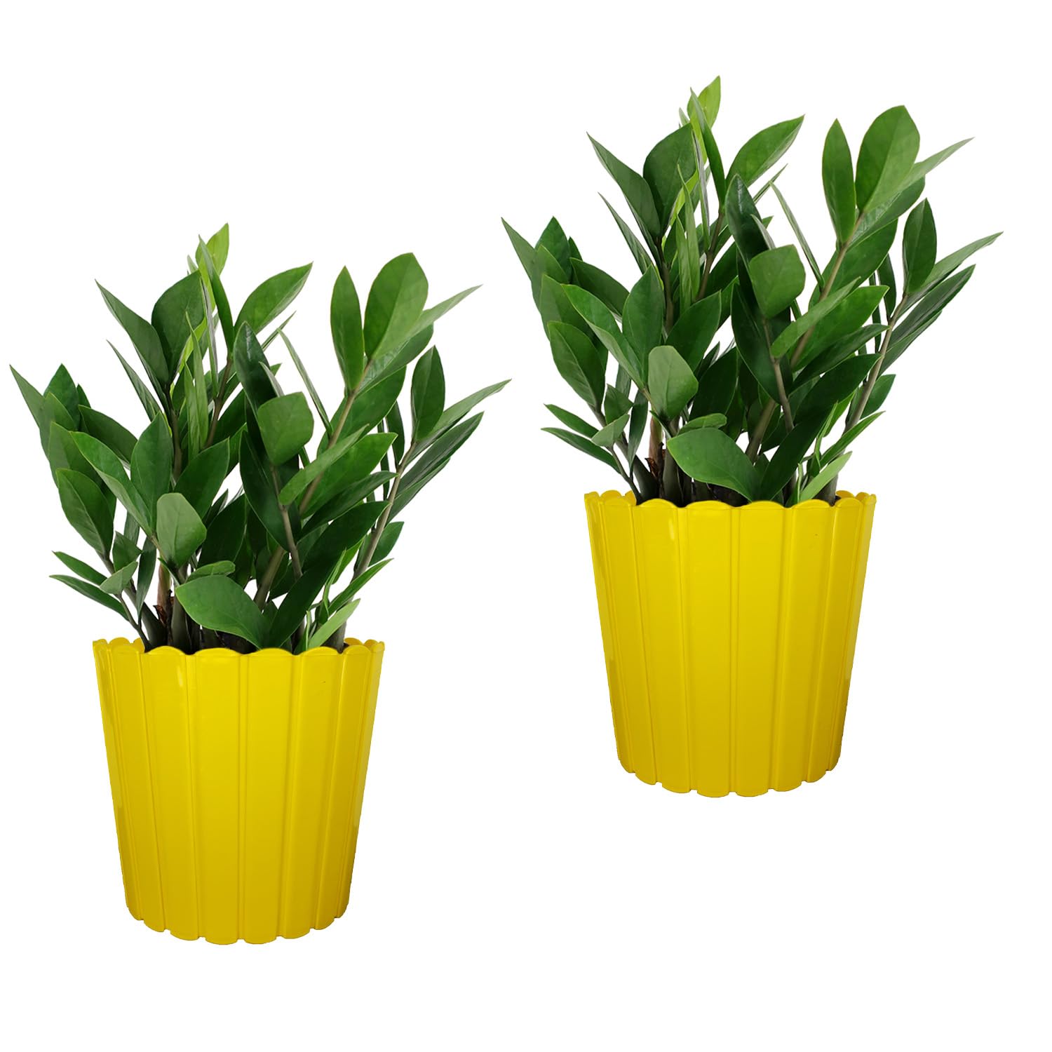 10 Inch Yellow Thai Planters Lightweight & Uv Resistant (set Of 2)