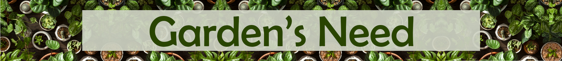 Outdoor Gardening Essentials: Tools, Tips and Techniques